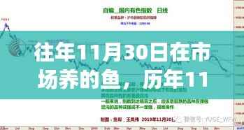 成功案例 第440页