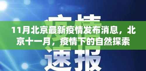 北京疫情下的自然探索之旅,寻找内心的宁静与微笑的力量