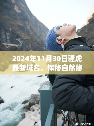 探秘自然秘境,骚虎最新域名引领心灵之旅启程寻找内心平静之旅的启程号角