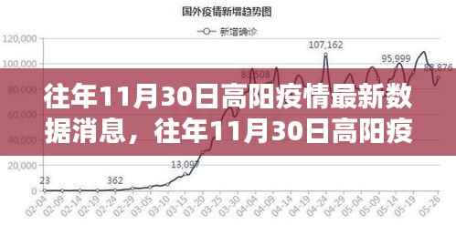 往年11月30日高阳疫情最新数据消息全解析,获取指南与初学者进阶教程