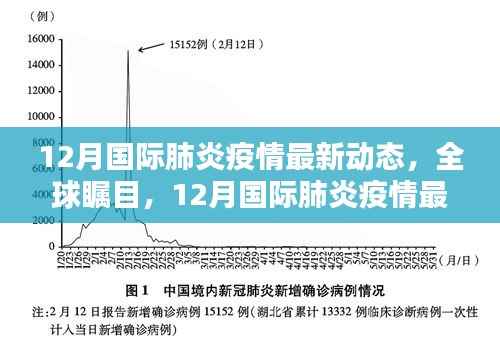 全球瞩目,12月国际肺炎疫情最新动态及其全球影响