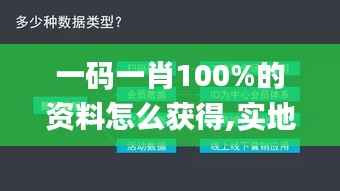 一码一肖100%的资料怎么获得,实地数据评估方案_4DM160.155-3