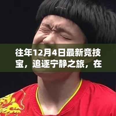 往年12月4日最新竞技宝,追逐宁静之旅,探寻内心的山水乐园