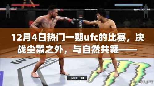 探索内心的旅程,UFC盛宴决战尘嚣之外,与自然共舞