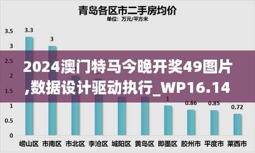 2024澳门特马今晚开奖49图片,数据设计驱动执行_WP16.143