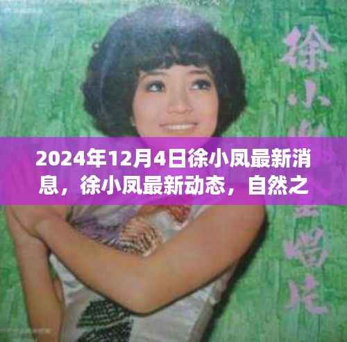 徐小凤心灵之旅最新动态,自然之旅的呼唤,寻找宁静港湾的足迹(2024年)