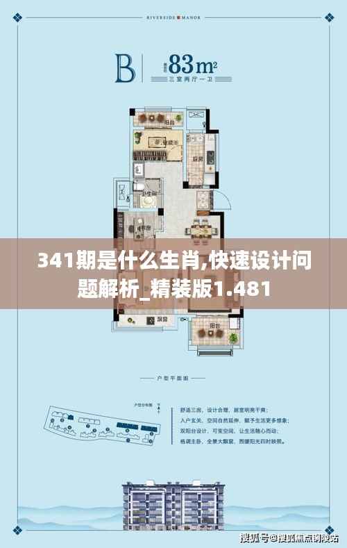 341期是什么生肖,快速设计问题解析_精装版1.481
