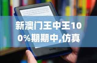 新澳门王中王100%期期中,仿真方案实现_Kindle7.968