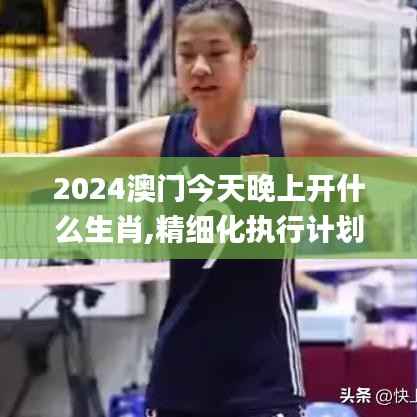 2024澳门今天晚上开什么生肖,精细化执行计划_Harmony10.227