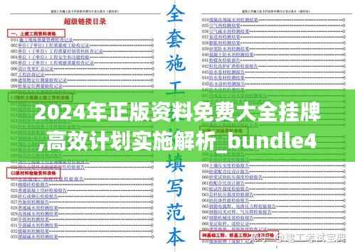 2024年正版资料免费大全挂牌,高效计划实施解析_bundle4.263