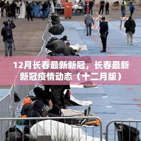 长春最新新冠疫情动态十二月更新,最新动态与防控进展