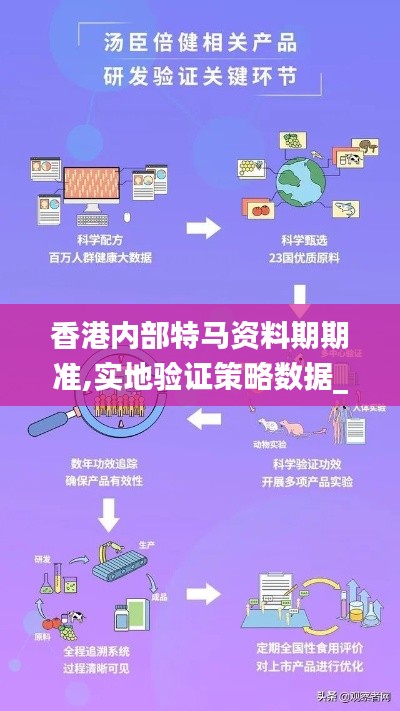 香港内部特马资料期期准,实地验证策略数据_S13.726