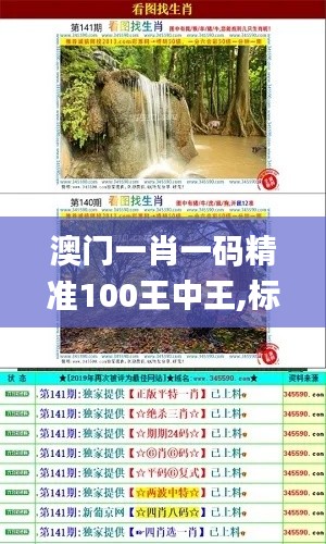 澳门一肖一码精准100王中王,标准化程序评估_模拟版17.650