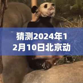 北京动物园丫丫的成长轨迹与学习变化,2024年实时监控展现自信闪耀动物园角落的旅程