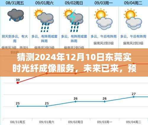 2024年东莞实时光纤成像服务革新与应用展望