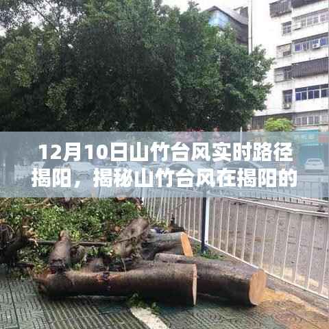 揭秘山竹台风在揭阳的真实路径,实时追踪与深度解析报告发布