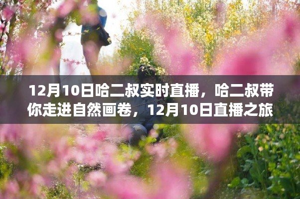 哈二叔带你走进自然画卷,寻找内心的桃花源直播之旅 12月10日实时直播纪实
