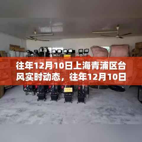 上海青浦区往年台风深度解析与案例分析,台风实时动态回顾与反思