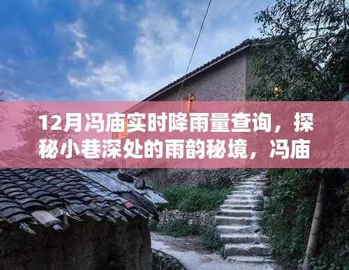冯庙村降雨秘境,实时查询与小巷深处的雨韵探秘