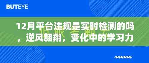 关于十二月平台违规检测的深度洞察，实时检测与变化中的学习力量探讨