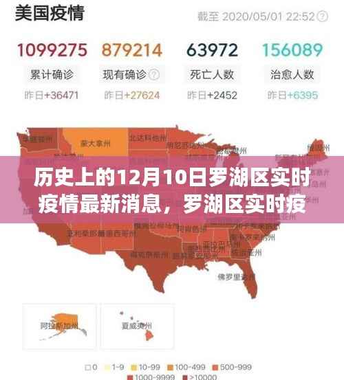 罗湖区疫情实时更新,历史与当前数据查询指南(12月10日版)