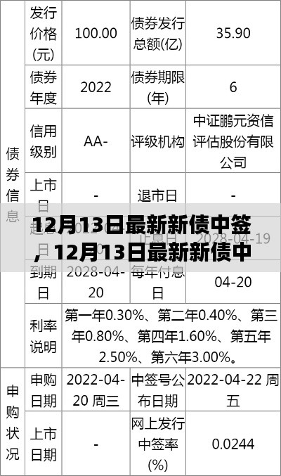 12月13日新债中签深度解读,市场机遇与挑战一览