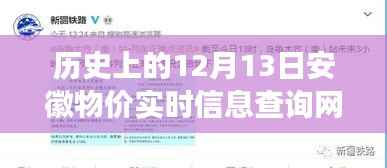 安徽物价实时查询网下的温情故事,一场关于历史的记忆之旅(12月13日)