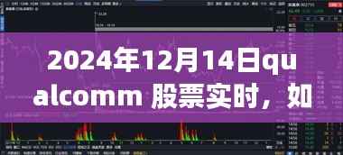 2024年12月14日Qualcomm股票实时分析与获取指南,新手到进阶用户的全方位教程