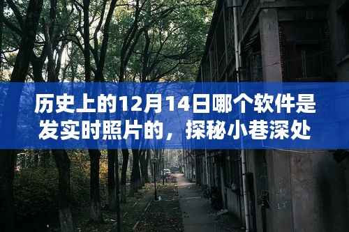 探秘历史上的十二月十四日,揭秘实时照片软件背后的传奇时光照相馆与小巷深处的时光印记