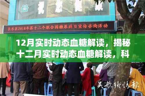 揭秘十二月实时动态血糖监测的关键要点,科学解读与精准管理