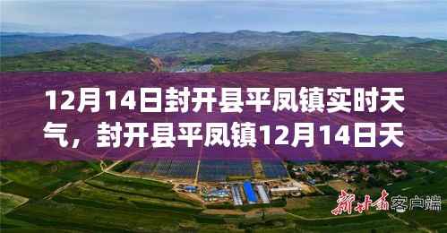 封开县平凤镇12月14日天气概况,实时分析、影响探讨及应对观点