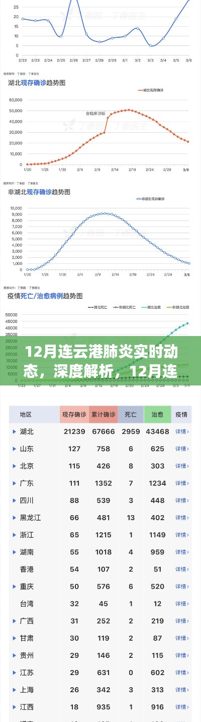 12月连云港肺炎实时动态深度解析与评测