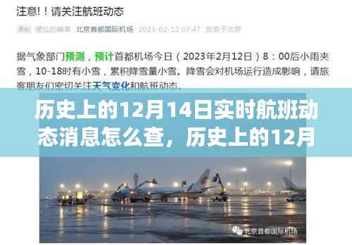 历史上的12月14日实时航班动态消息查询系统深度评测与介绍分析