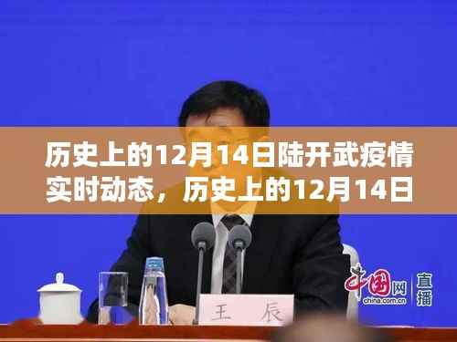 历史上的陆开武疫情动态，多元观点下的探讨与影响