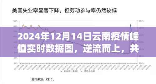 逆流而上，共克时艰，云南疫情峰值背后的力量与希望——实时数据图分析