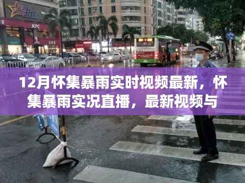 怀集暴雨实况直播,最新视频、详细解读与实时更新