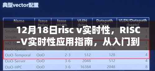 RISC-V实时性应用指南,从入门到进阶的详细步骤解析