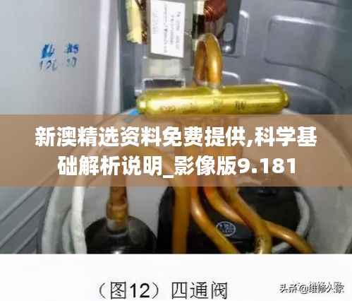 新澳精选资料免费提供,科学基础解析说明_影像版9.181