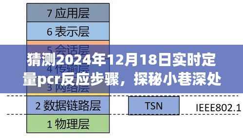预见未来实验室之旅,探秘PCR反应步骤与小巷深处的神秘小店揭秘