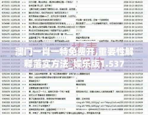 澳门一肖一特免费开,重要性解释落实方法_娱乐版1.537