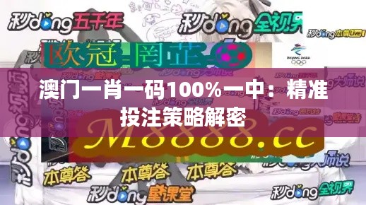 澳门一肖一码100%一中：精准投注策略解密