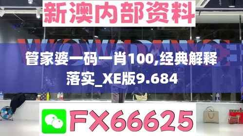 管家婆一码一肖100,经典解释落实_XE版9.684