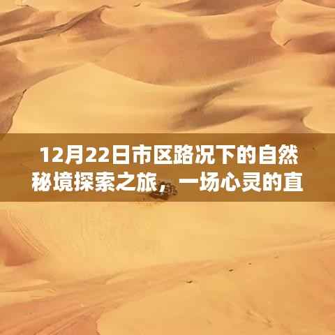 心灵直播秀,市区路况下的自然秘境探索之旅