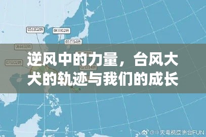 逆风中的力量,台风大犬的轨迹与人的成长之路