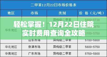 12月22日住院实时费用查询攻略,轻松掌握费用信息