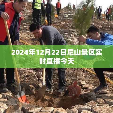 尼山景区今日实况直播，2024年12月22日