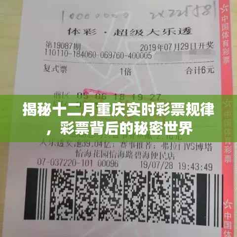 揭秘重庆彩票背后的秘密世界,十二月实时彩票规律解析