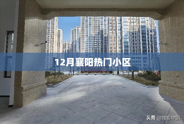 鸟吏鳖官 第3页