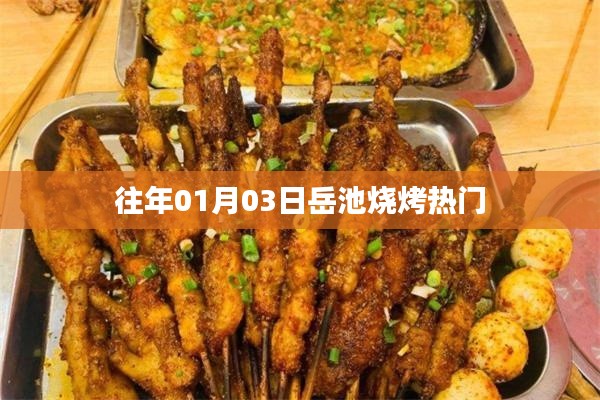 岳池烧烤元旦人气火爆,美食盛宴开启!