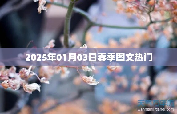 图文热门盛宴,2025年春季潮流风向标